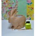 Rabbit Planter or Vase Kit